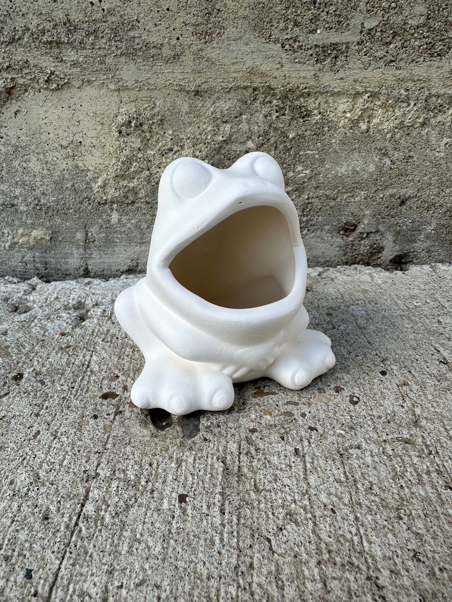Frog Scrubby Holder