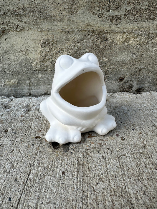 Frog Scrubby Holder
